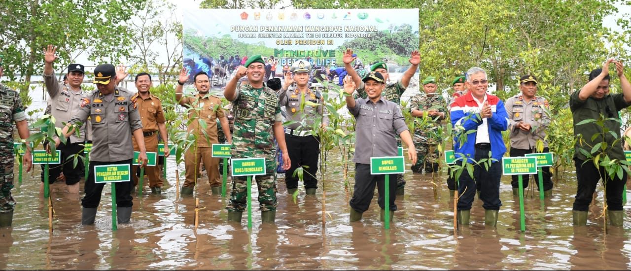 Bupati Bengkalis melalui Wakil Bupati H. Bagus Santoso mengikuti Puncak Penanaman Mangrove Nasional dilaksanakan secara serentak jajaran TNI di seluruh Indonesia dipimpin Presiden Joko Widodo.(Foto:informasiterpercaya.com)