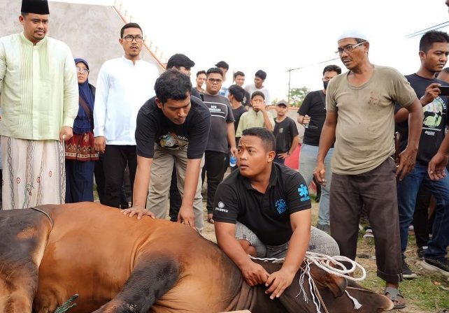 Wali Kota Medan Bobby Nasution dan keluarga berkurban dua ekor sapi dalam penyembelihan kurban yang diselenggarakan Rumah Kolaborasi di Jalan H Jamil Lubis, Kecamatan Medan Tembung, Kamis (29/06/2023).(Foto:www.informasiterpercaya.com)