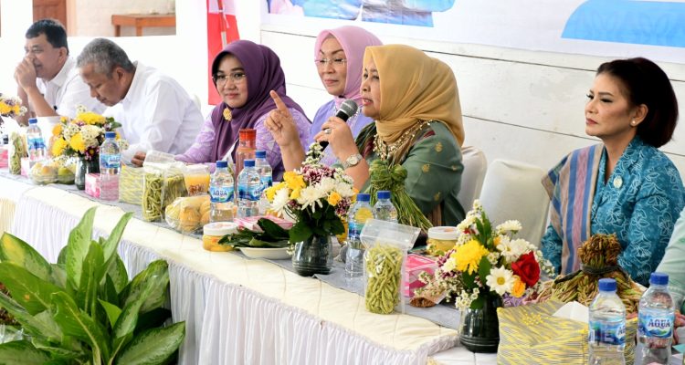 TEKS: Ketua TP PKK Sumut Nawal Lubis melakukan monitoring Desa Percontohan Pelaksana 10 Program Pokok PKK Kategori Usaha Peningkatan Pendapatan Keluarga (UP2K) di Desa Silalahi II, Kecamatan Silahisabungan, Kabupaten Dairi, Rabu (14/6/2023). Usai melakukan monitoring, Ketua TP PKK Sumut yang juga Ketua Dekranasda Sumut mengunjungi Pusat Tenun Ulos Silahisabungan.(Foto:www.informasiterpercaya.com)