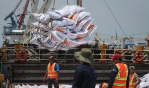 SEBANYAK 1,33 juta ton beras diimpor Indonesia dalam periode Januari-Juli 2023 dengan total nilai mencapai US$715,9 juta.(Foto:www.informasiterpercaya.com)