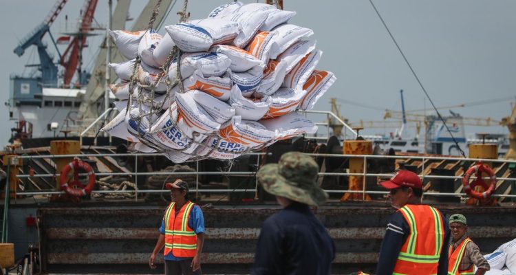 SEBANYAK 1,33 juta ton beras diimpor Indonesia dalam periode Januari-Juli 2023 dengan total nilai mencapai US$715,9 juta.(Foto:www.informasiterpercaya.com)