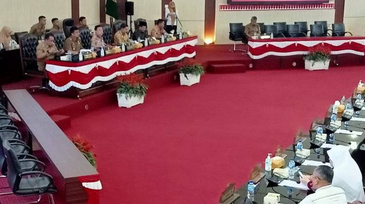 Wakil Ketua Fraksi PDI Perjuangan DPRD Medan Margaret MS menyampaikan, fraksinya menerima dan menyetujui Ranperda Kota Medan tentang Inovasi Daerah ditetapkan menjadi Peraturan Daerah (Perda) Tahun 2023.(Foto:www.informasiterpercaya.com)