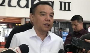 Ketua Harian Gerindra Dasco merespons pernyataan Hasto.(Dok) Ketua Harian Gerindra Dasco merespons pernyataan Hasto.(Dok)