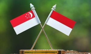 Menhub 'Rayu' Singapura Investasi di Kawasan Dekat MRT Menhub 'Rayu' Singapura Investasi di Kawasan Dekat MRT