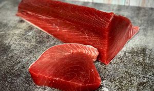 Ilustrasi Ikan Tuna