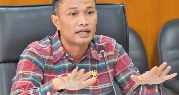 Anggota DPRD Kota Medan Haris Kelana Damanik