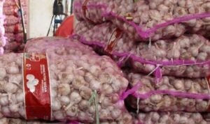 BAWANG PUTIH