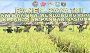 PANEN RAYA