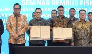 apeksi oke