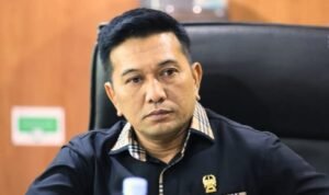 fauzi